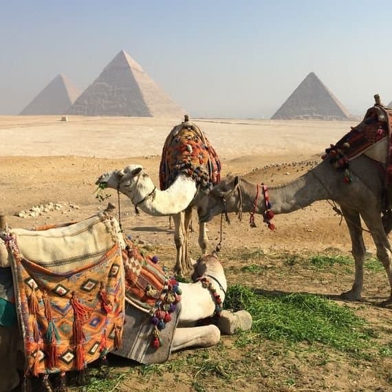 Half-Day Pyramids Tour 