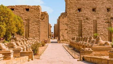 Tour to Luxor East and West Banks-1